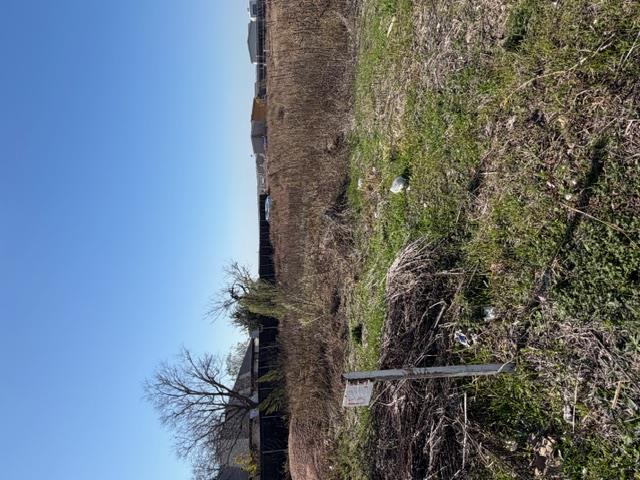 420 Arrowhead Cv, Kyle, TX 78640