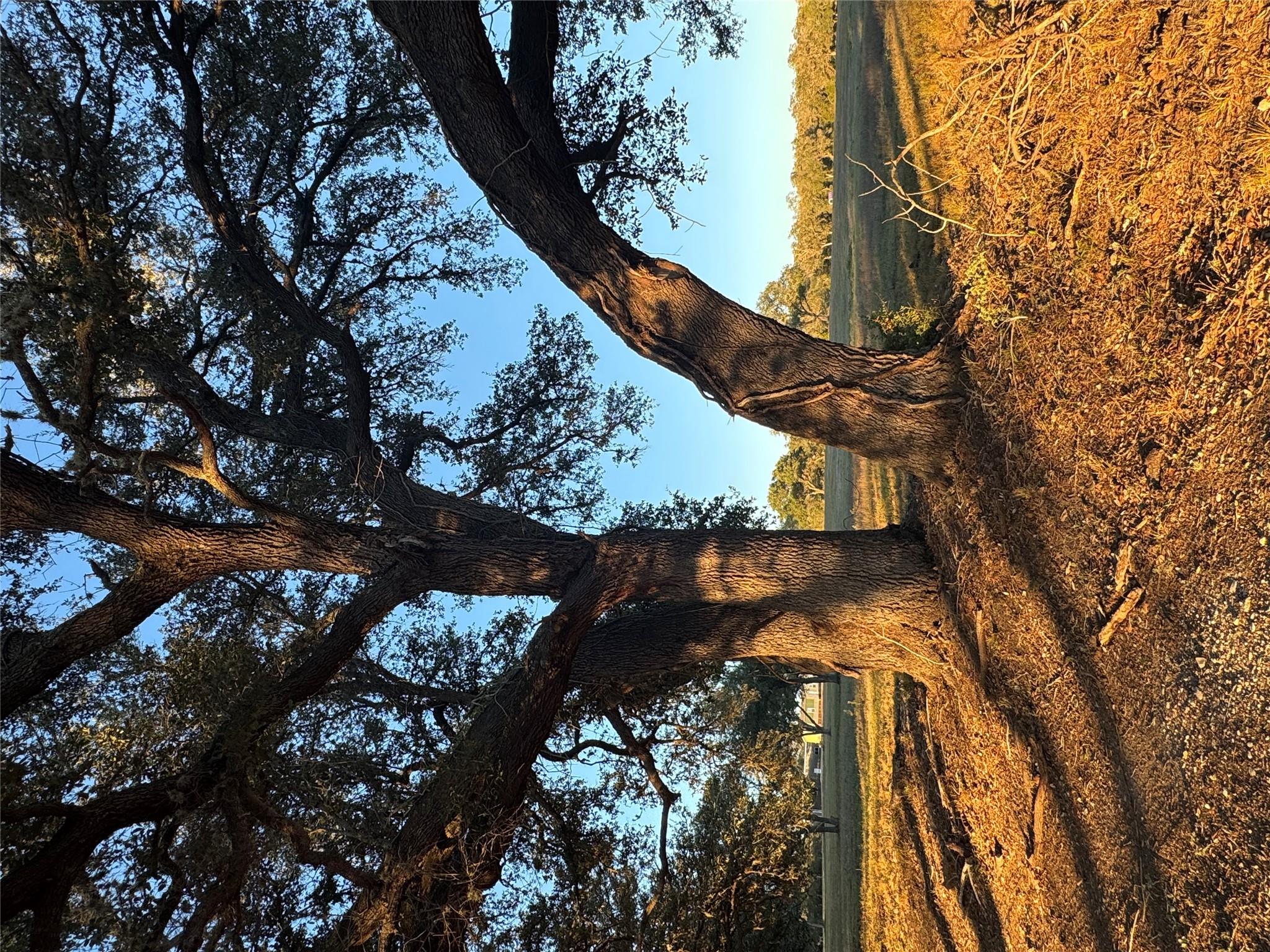 2636 E FM 532, Schulenburg, TX 78956