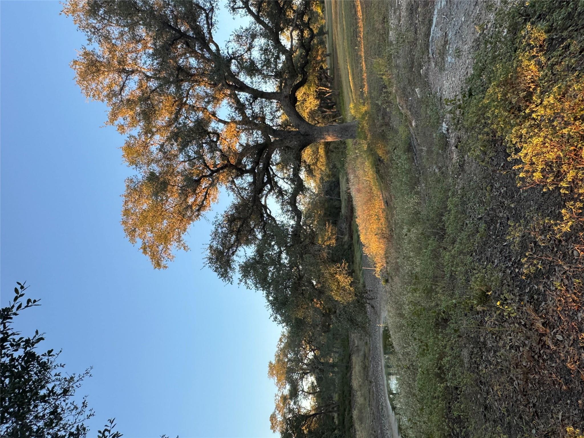 2636 E FM 532, Schulenburg, TX 78956