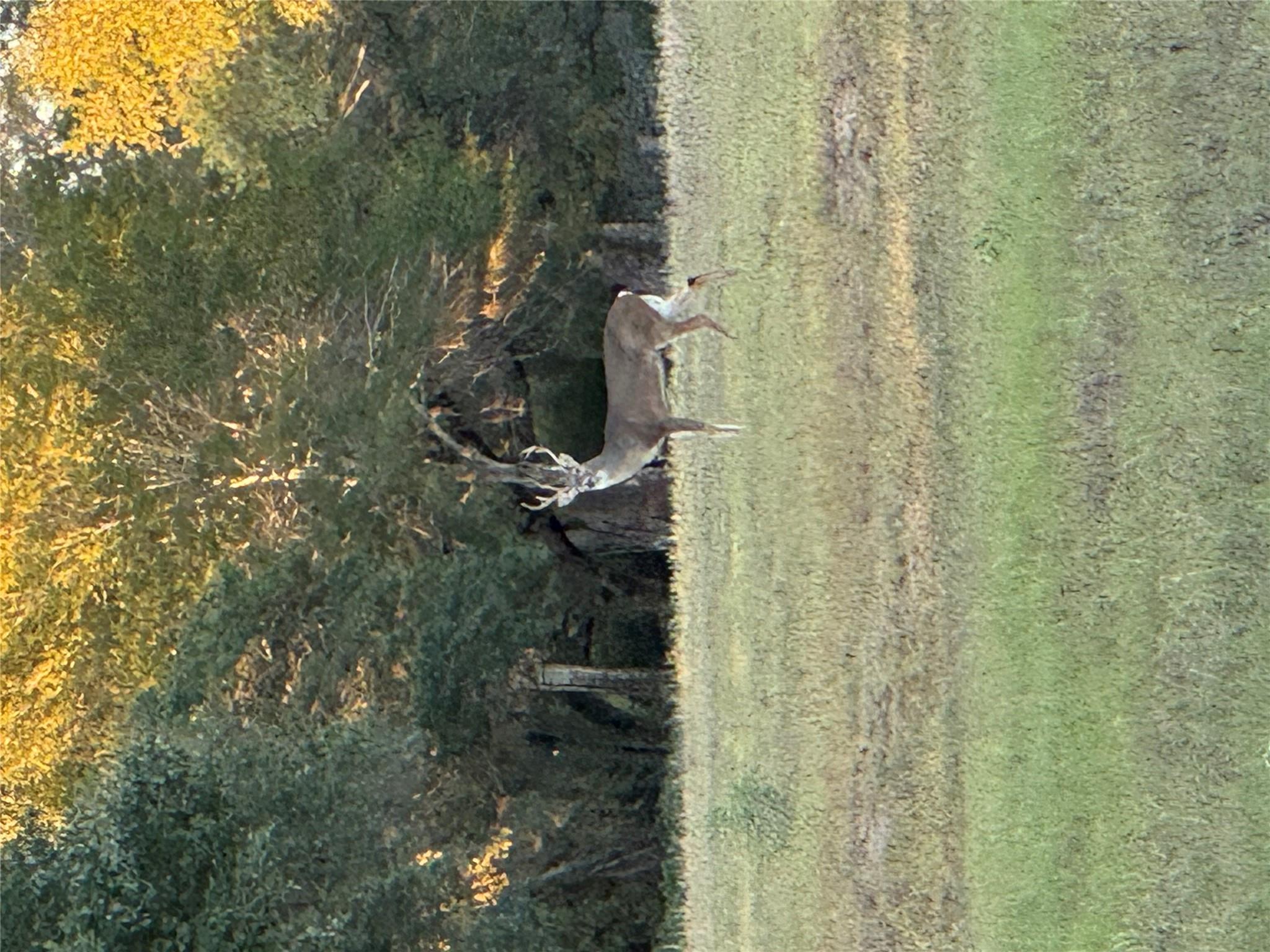 2636 E FM 532, Schulenburg, TX 78956