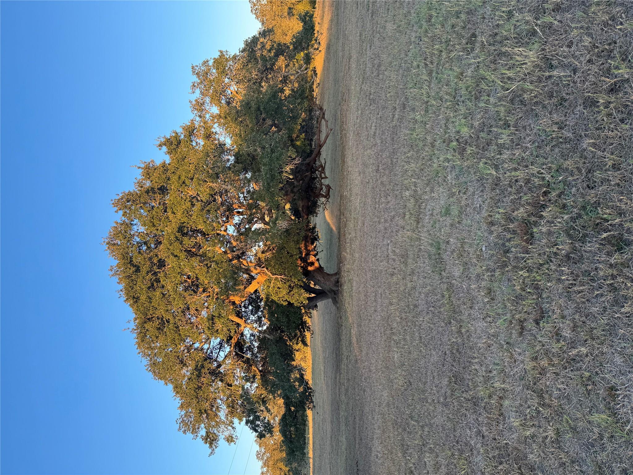 2636 E FM 532, Schulenburg, TX 78956