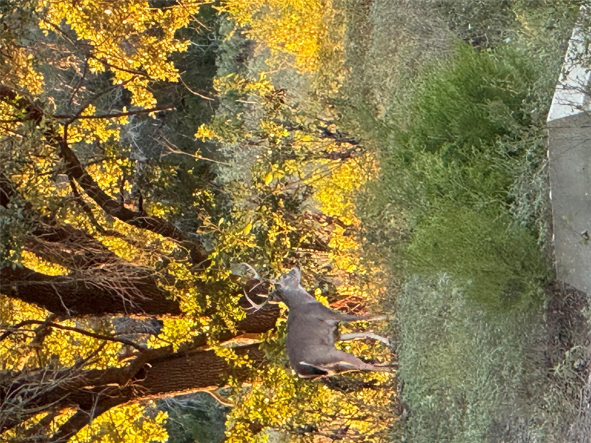 2636 E FM 532, Schulenburg, TX 78956