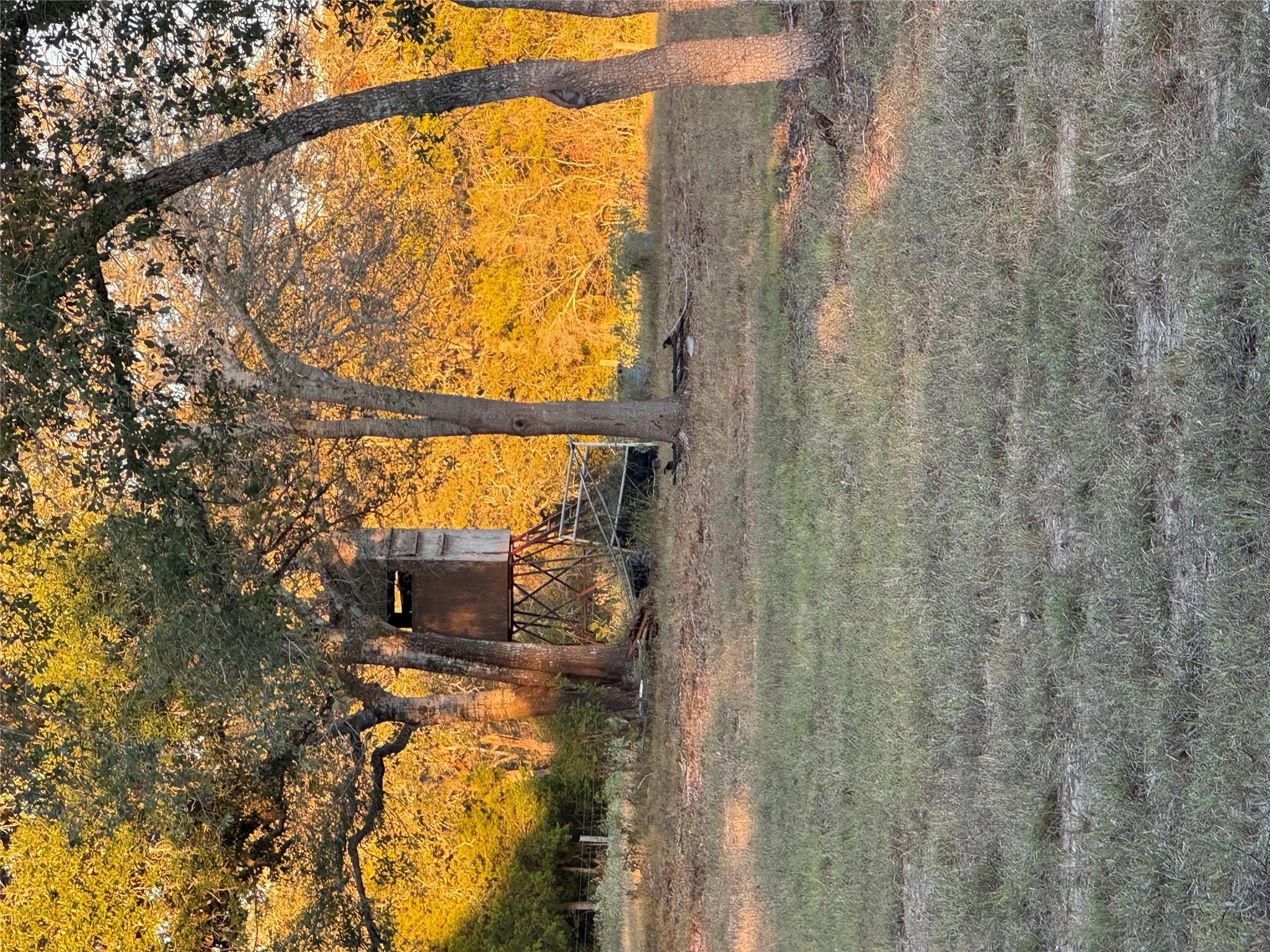 2636 E FM 532, Schulenburg, TX 78956