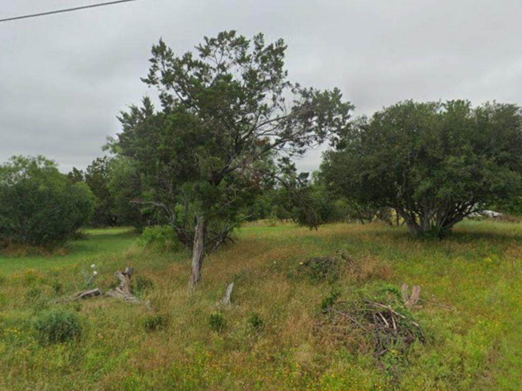 0 Bee Ln, Tow, TX 78672