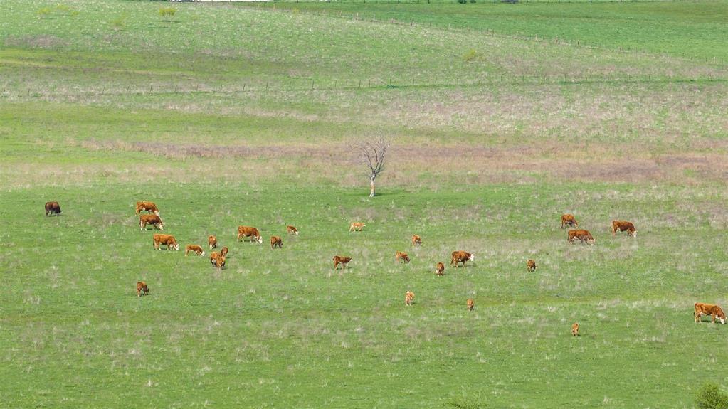 TBD Armstrong Rd, Salado, TX 76571