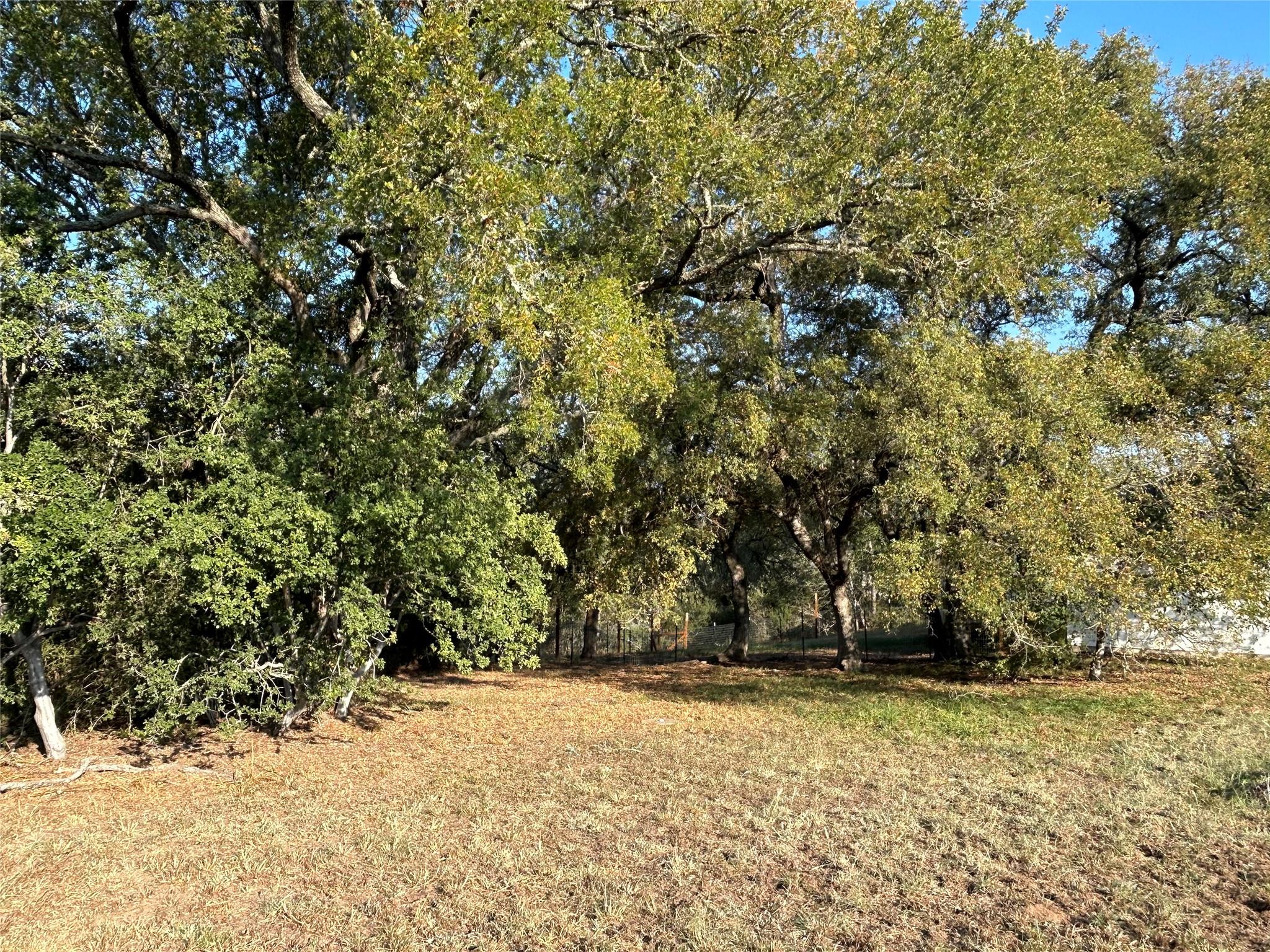 147 Shoreside Dr, Bastrop, TX 78602