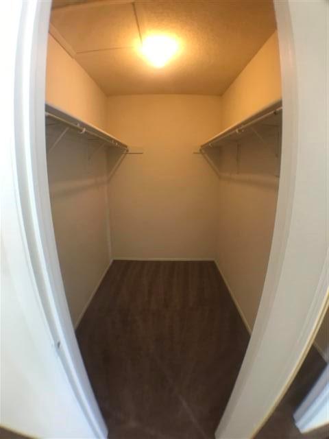 806 W 24th St # 304, Austin, TX 78705