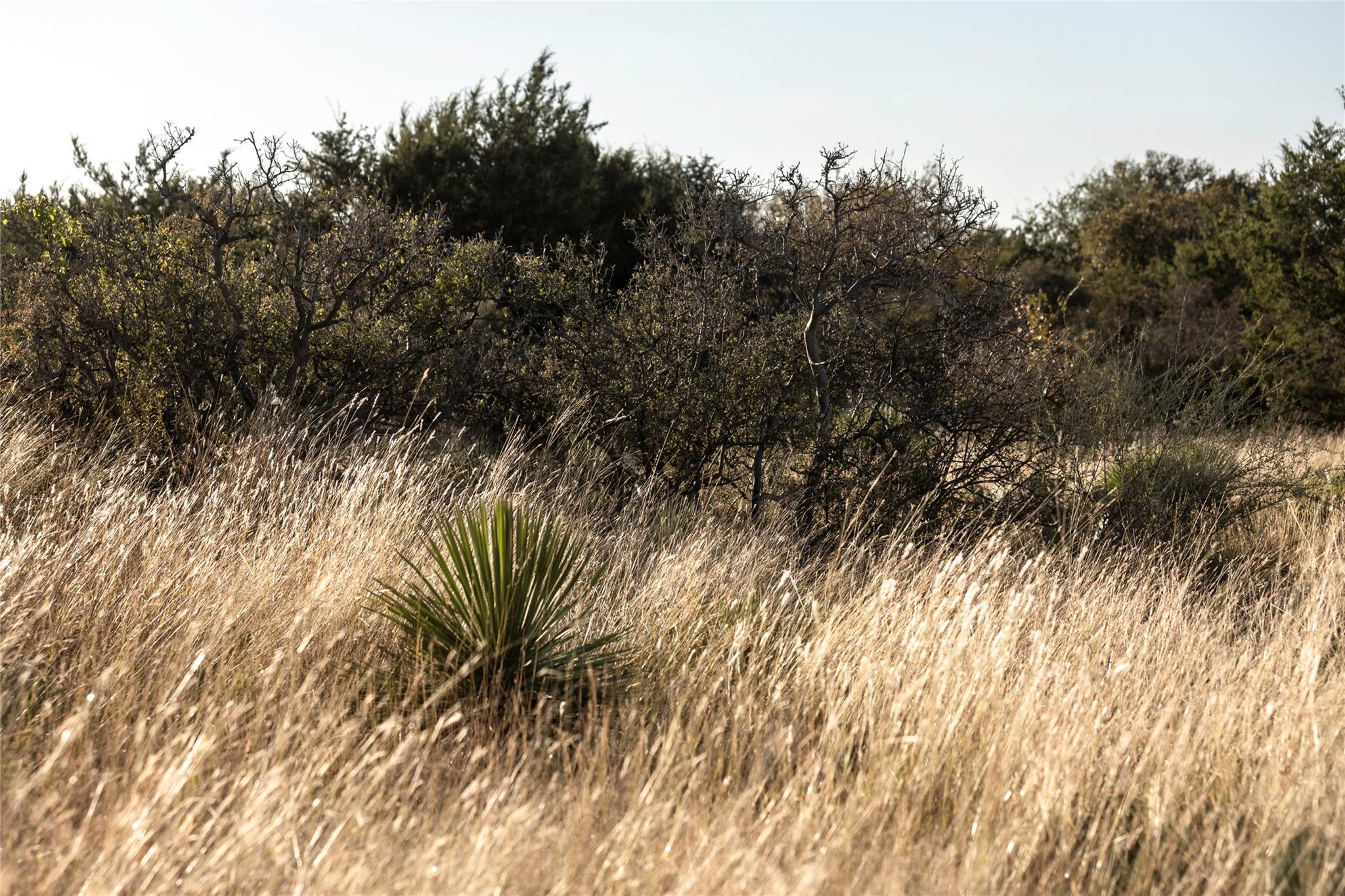 TBD W RR 962, Round Mountain, TX 78663