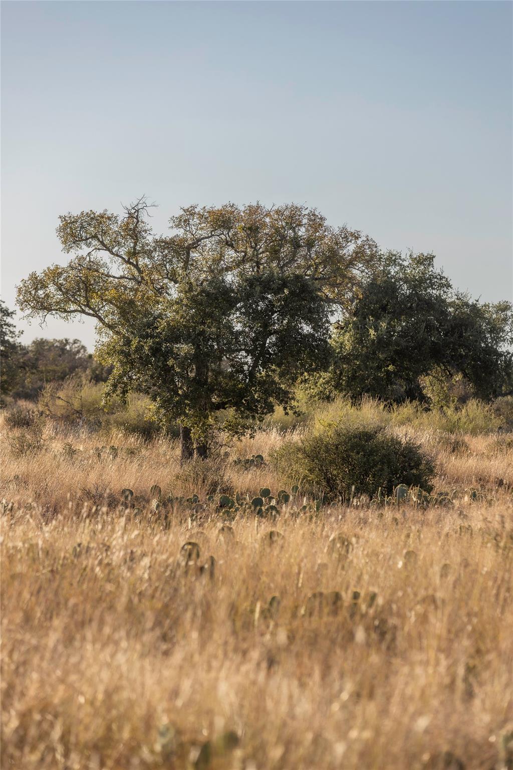 TBD W RR 962, Round Mountain, TX 78663