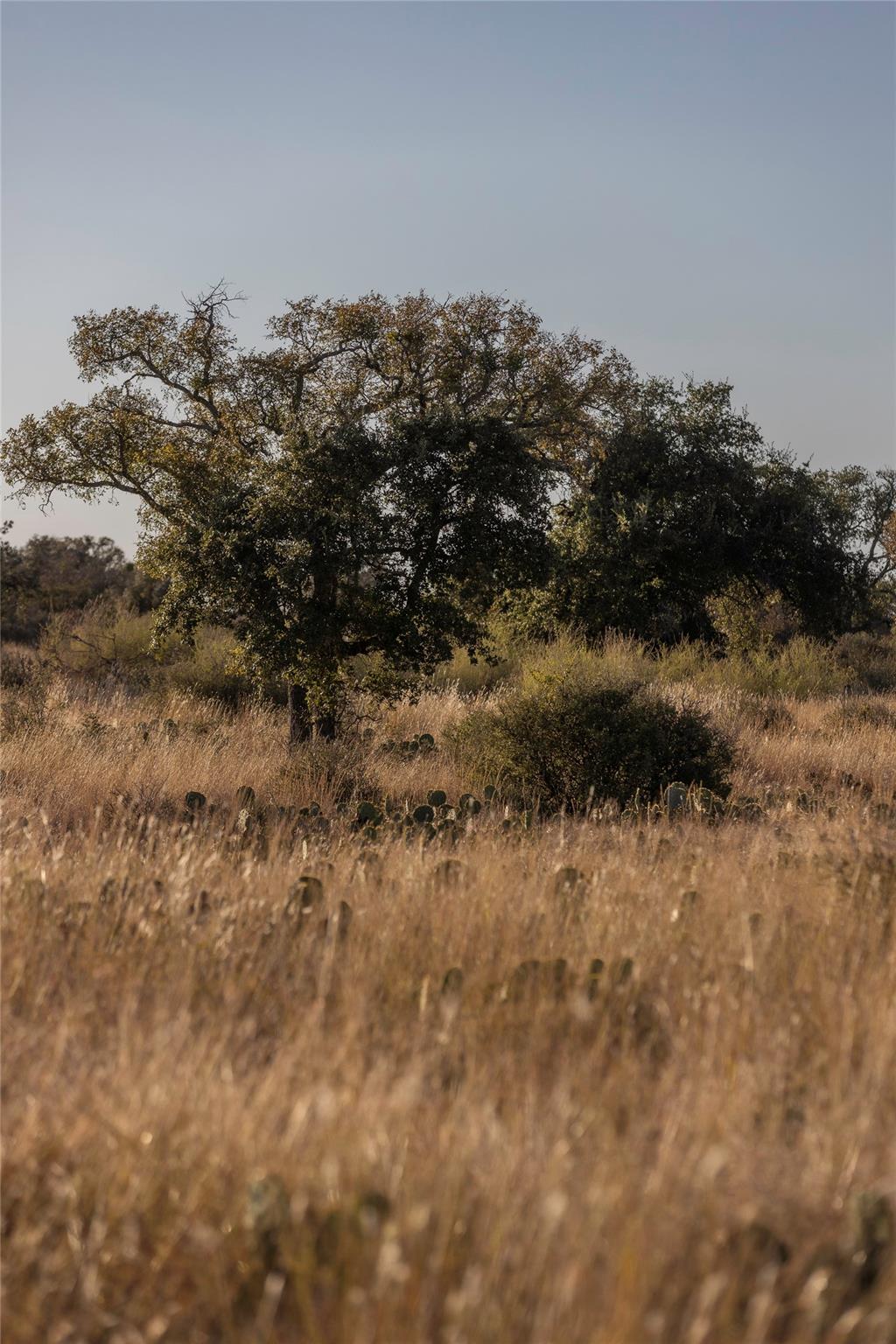 TBD W RR 962, Round Mountain, TX 78663