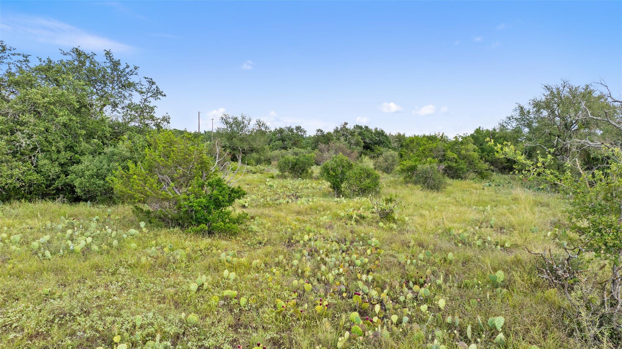 TBD W RR 962, Round Mountain, TX 78663