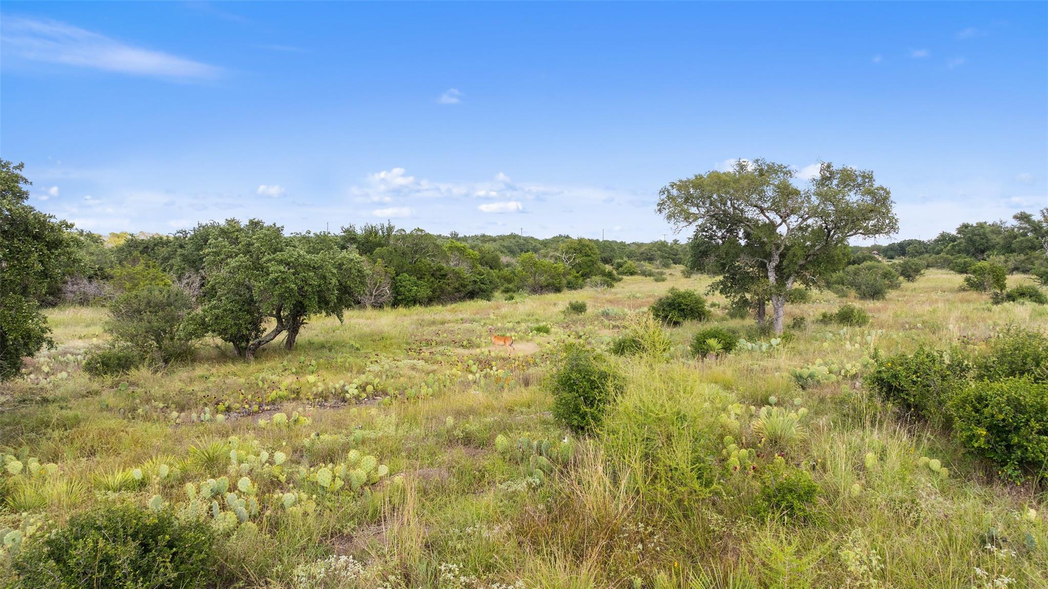 TBD W RR 962, Round Mountain, TX 78663