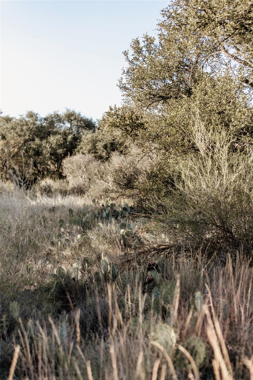 TBD W RR 962, Round Mountain, TX 78663