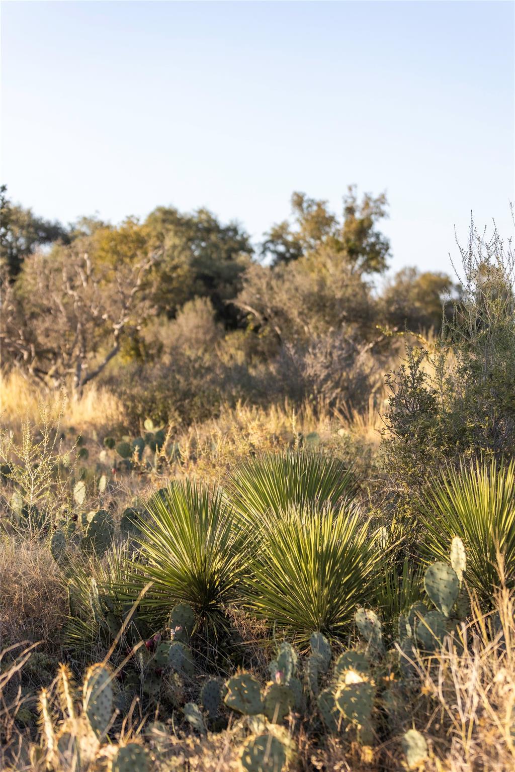 TBD W RR 962, Round Mountain, TX 78663