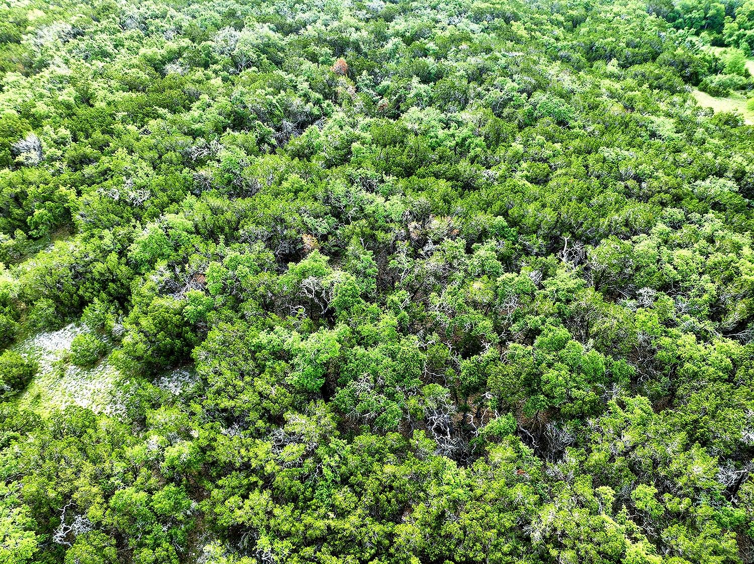 1650 S Rainbow Ranch Rd, Wimberley, TX 78676