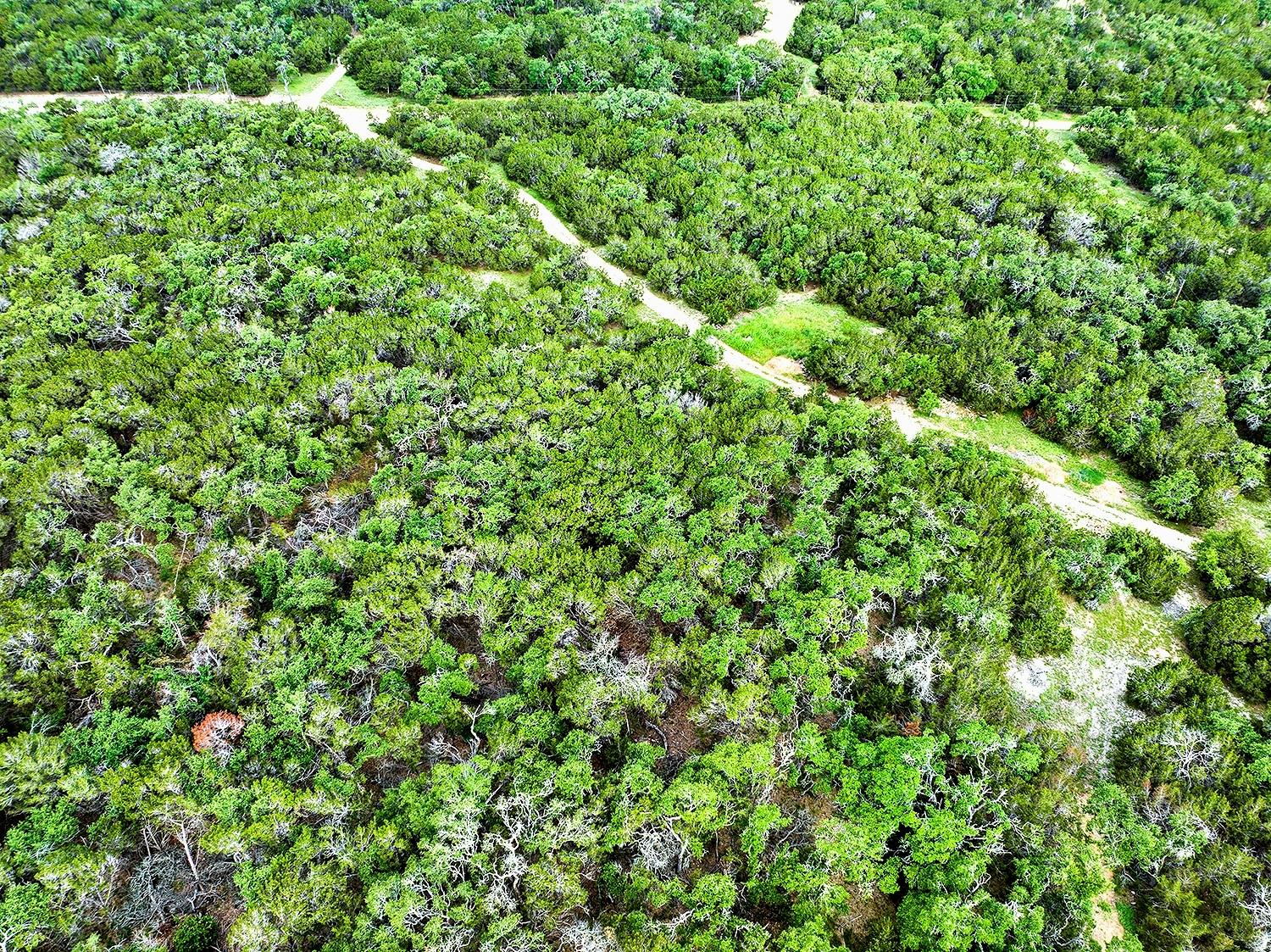 1650 S Rainbow Ranch Rd, Wimberley, TX 78676