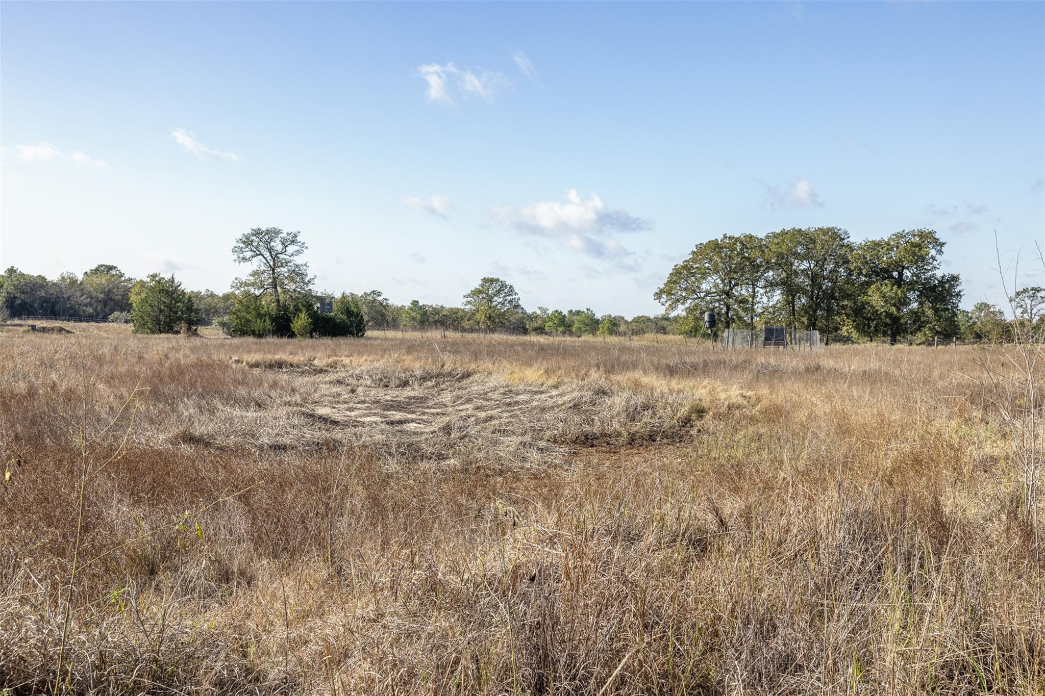 1759 Gotier Trace Rd, Paige, TX 78659