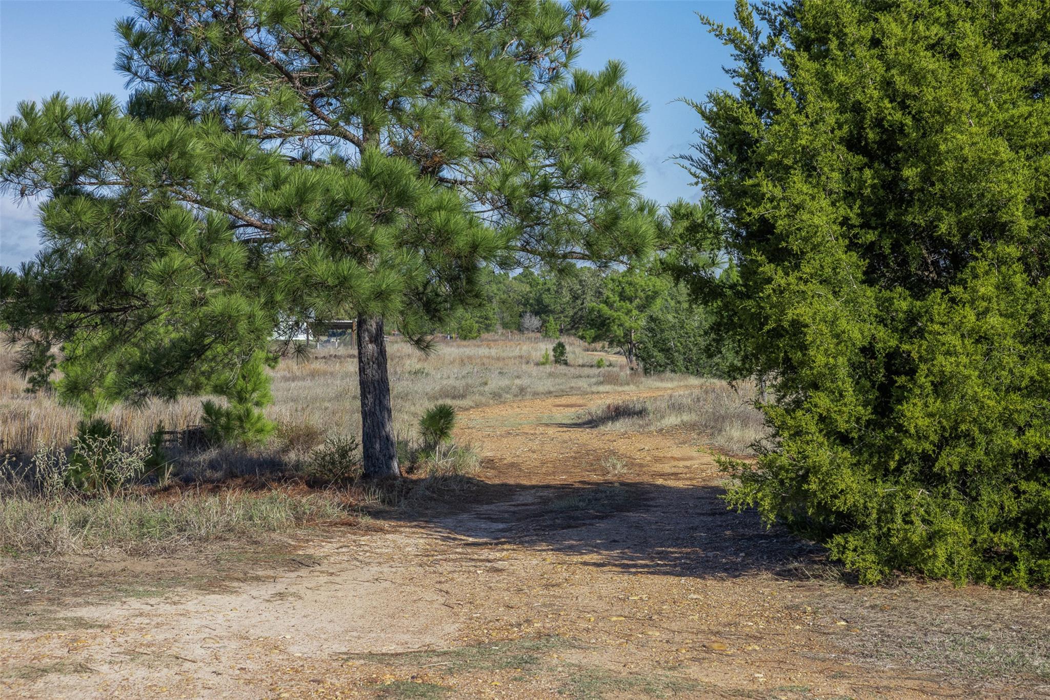 1759 Gotier Trace Rd, Paige, TX 78659