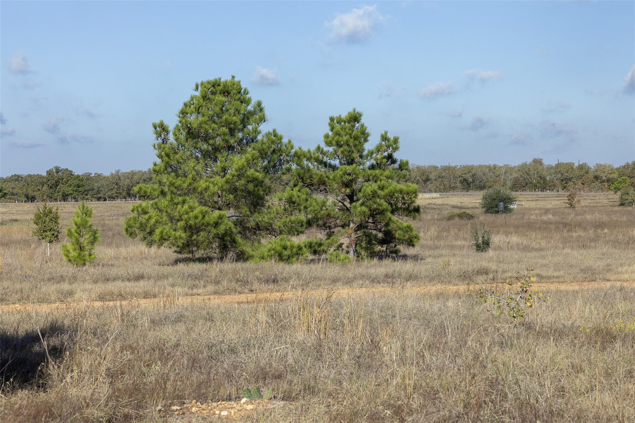 1759 Gotier Trace Rd, Paige, TX 78659