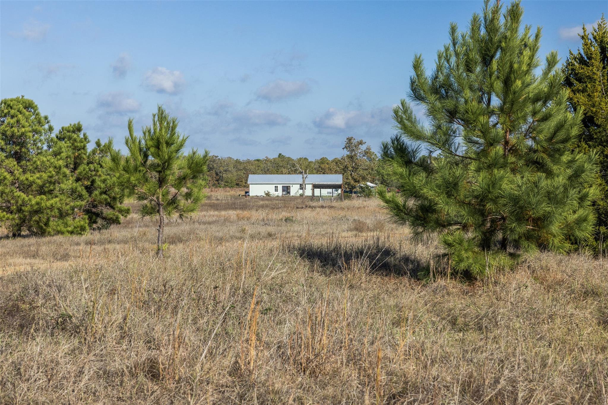 1759 Gotier Trace Rd, Paige, TX 78659