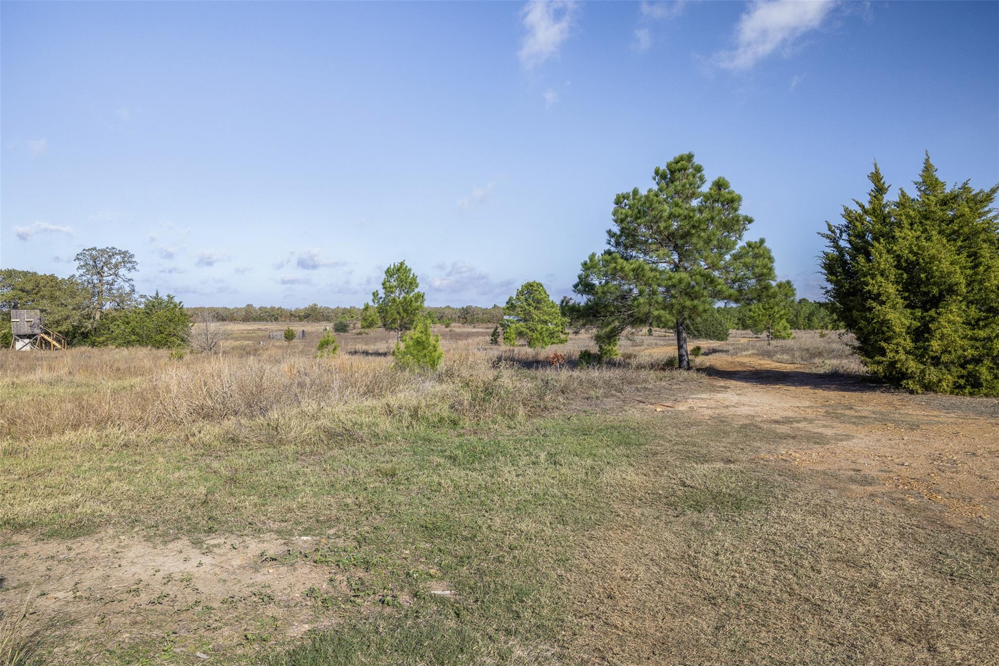 1759 Gotier Trace Rd, Paige, TX 78659