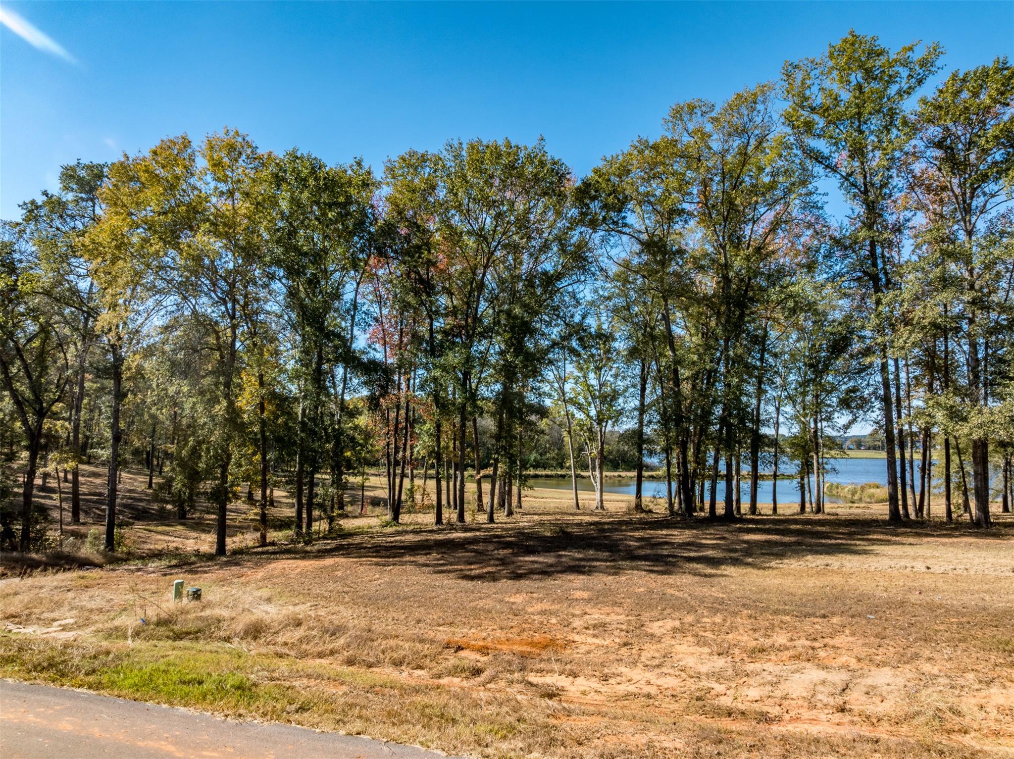 0 Carolina Dr # Lot 9, Bullard, TX 75757