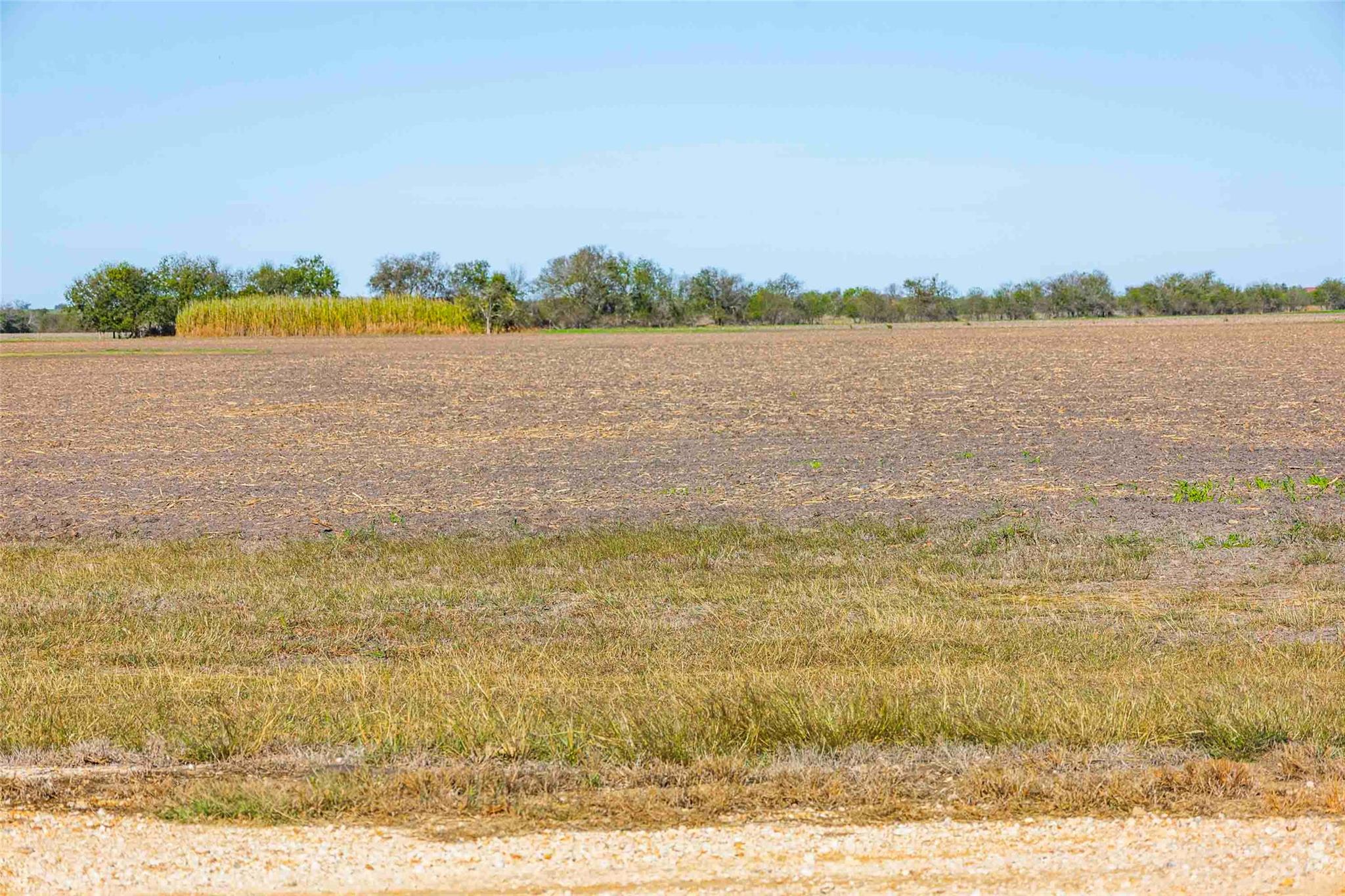 TBD County Road 462, Thorndale, TX 76577