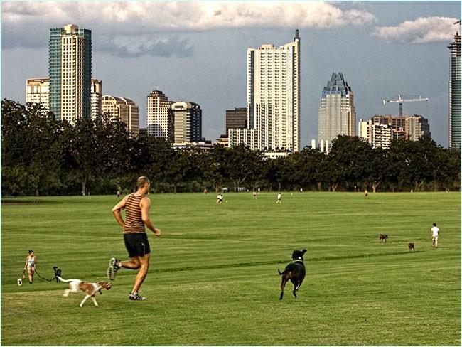 1813 Dexter St, Austin, TX 78704