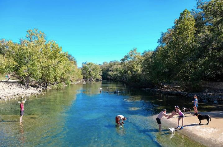 1813 Dexter St, Austin, TX 78704