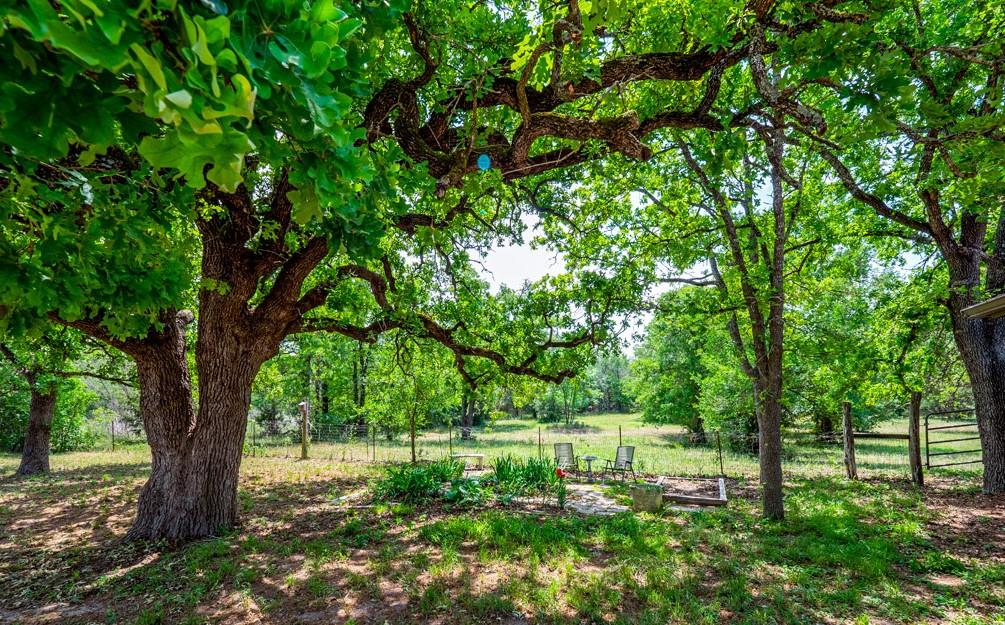 298 Jenkins. Rd, Cedar Creek, TX 78612