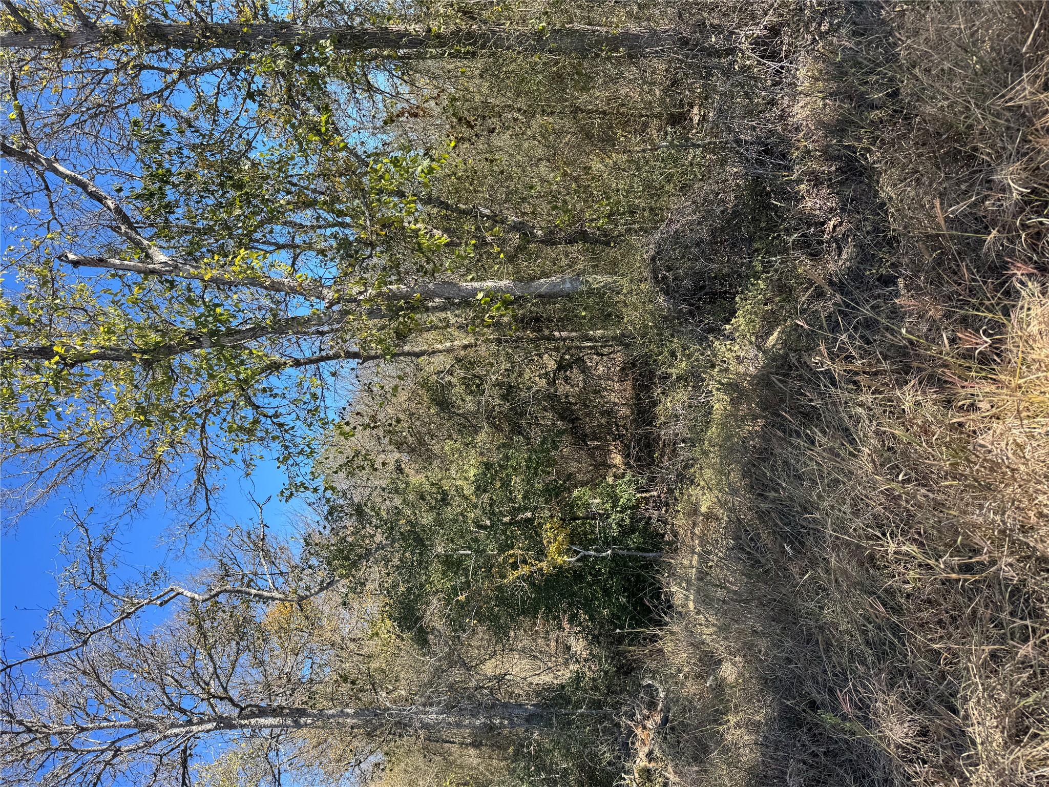 Lot 1013 Diamond Head Dr, Bastrop, TX 78602