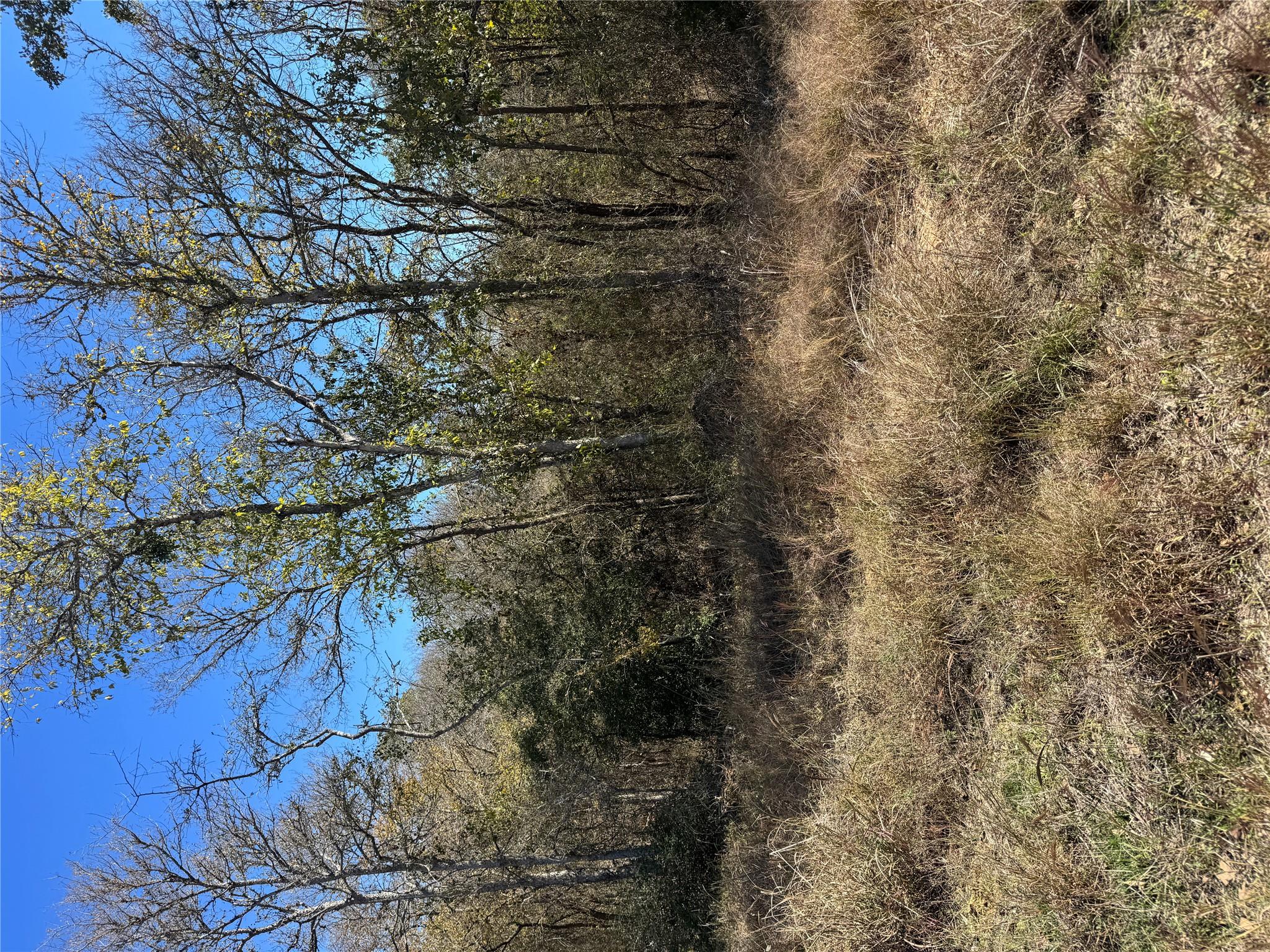 Lot 1013 Diamond Head Dr, Bastrop, TX 78602