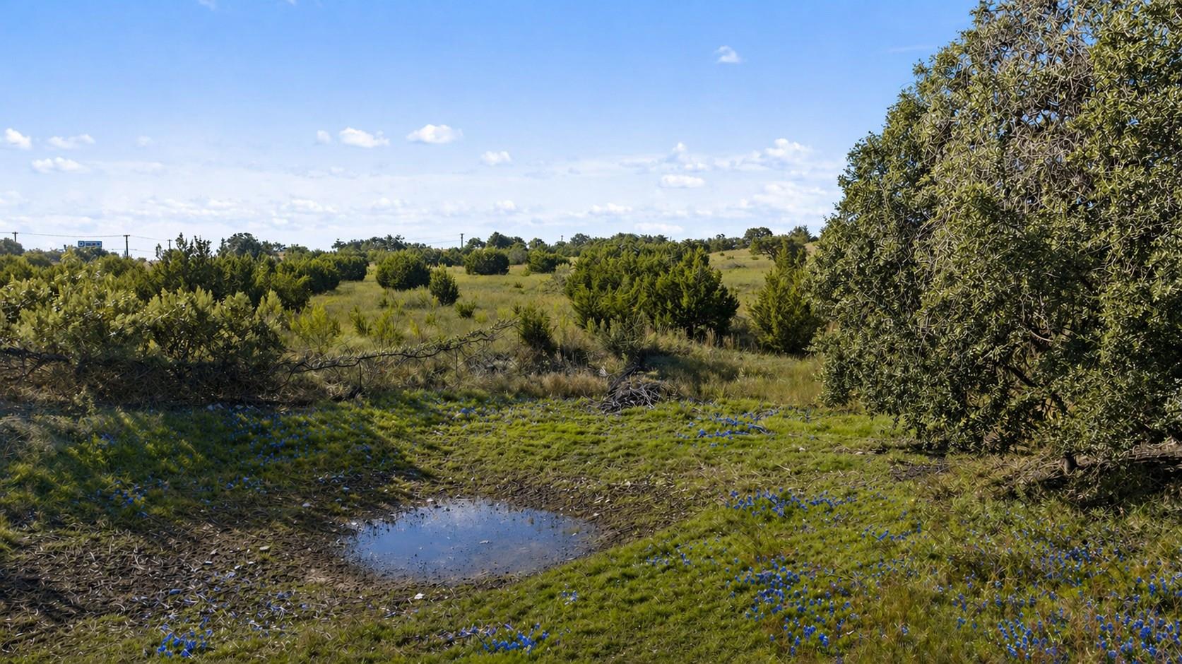 386 Appaloosa Run, Johnson City, TX 78663