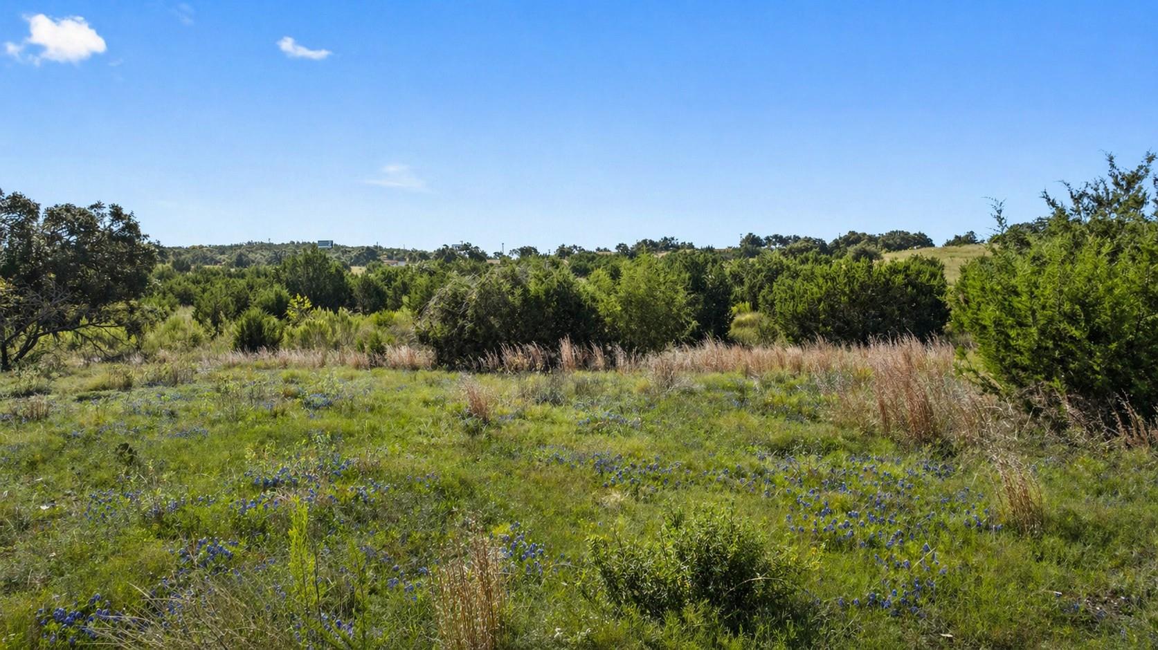 386 Appaloosa Run, Johnson City, TX 78663