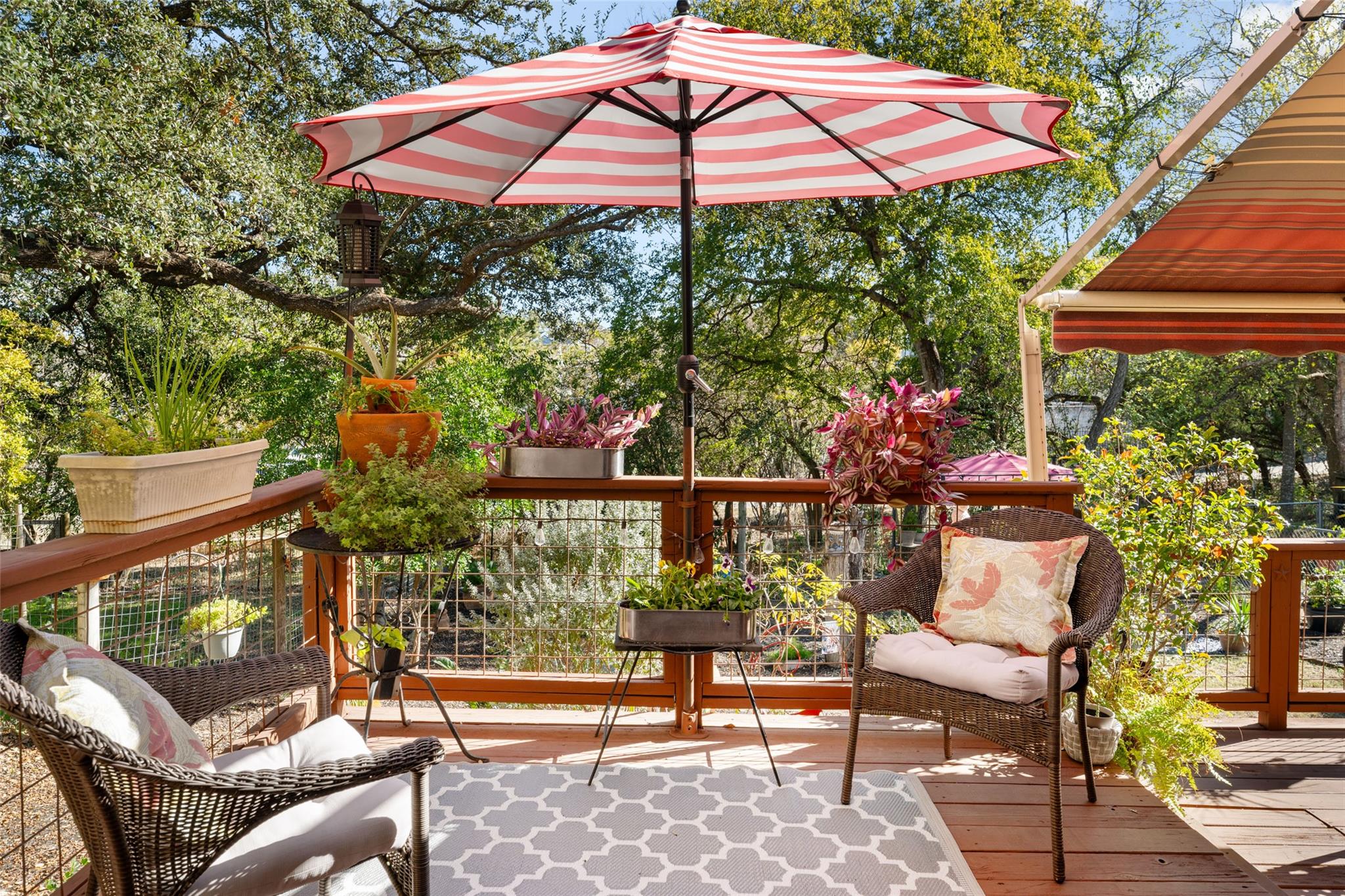 102 Elm Hill Ct, San Marcos, TX 78666