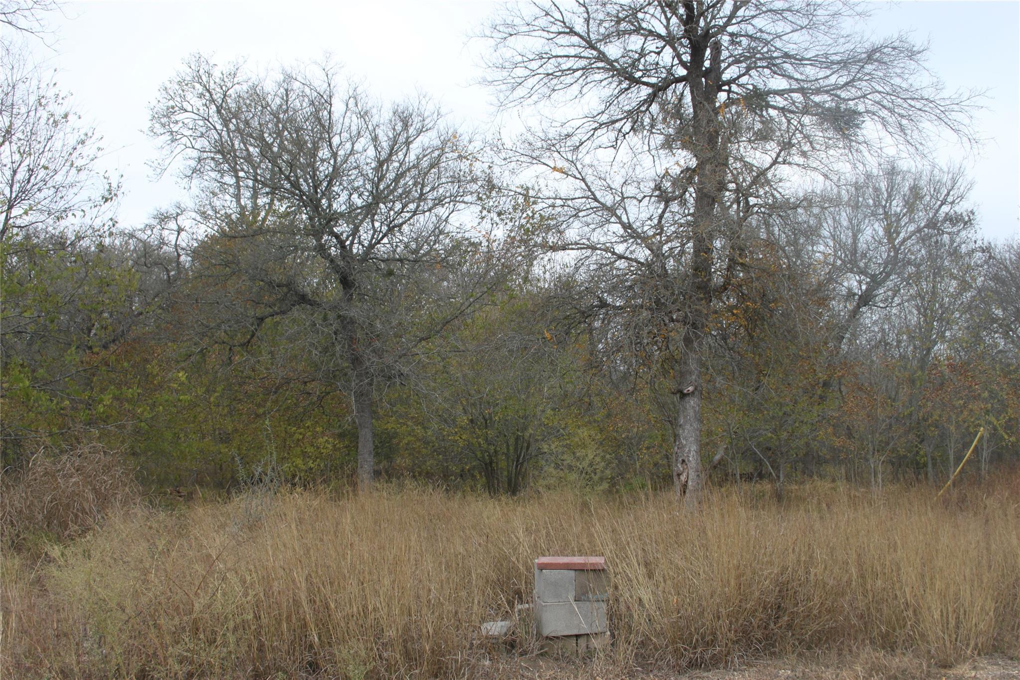 3816 FM 1854, Dale, TX 78616