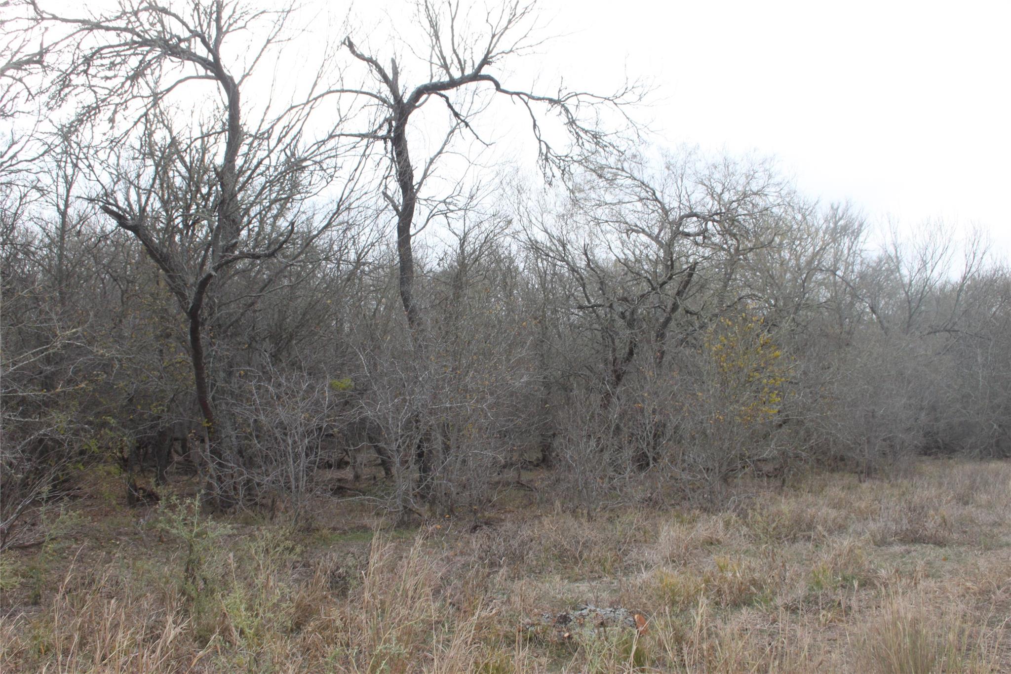 3816 FM 1854, Dale, TX 78616