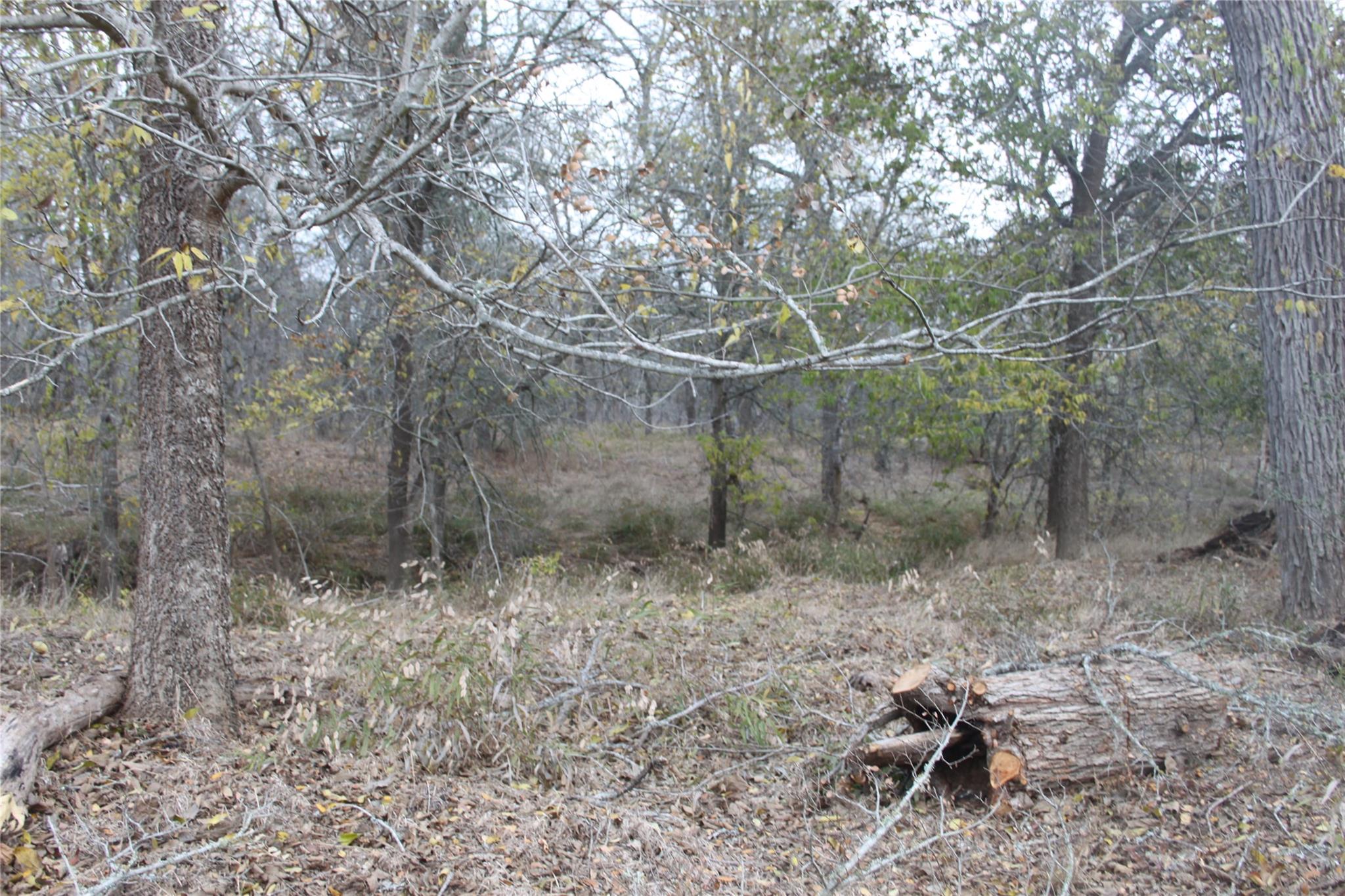 3816 FM 1854, Dale, TX 78616