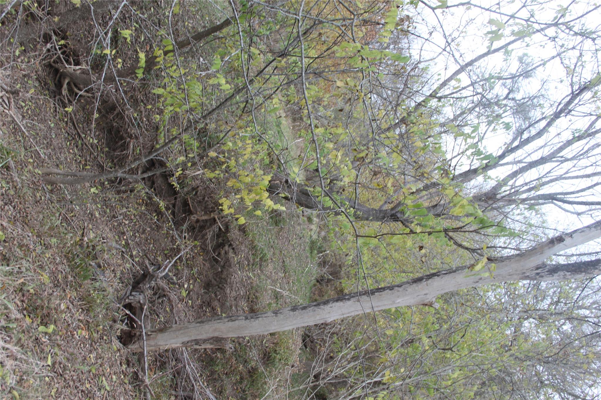 3816 FM 1854, Dale, TX 78616