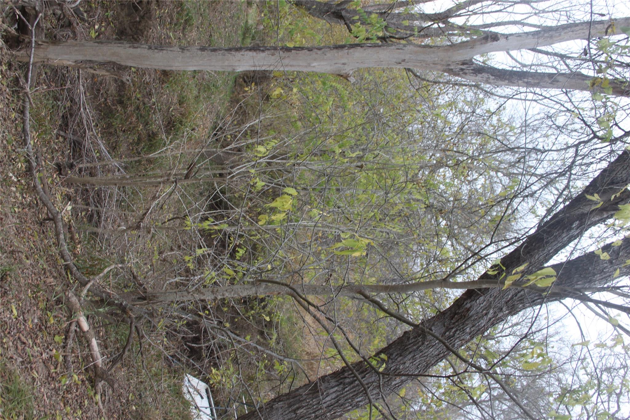 3816 FM 1854, Dale, TX 78616