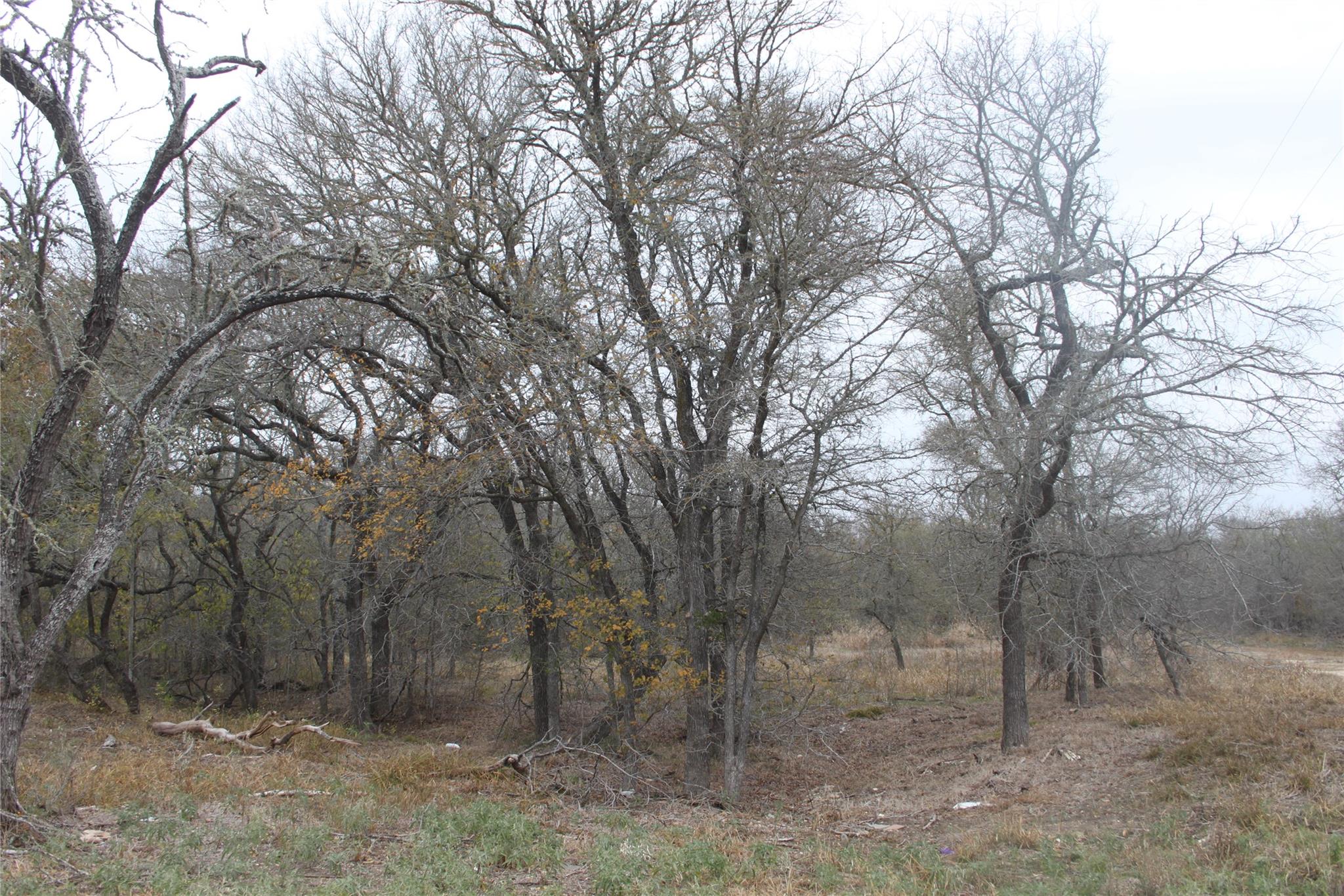 3816 FM 1854, Dale, TX 78616