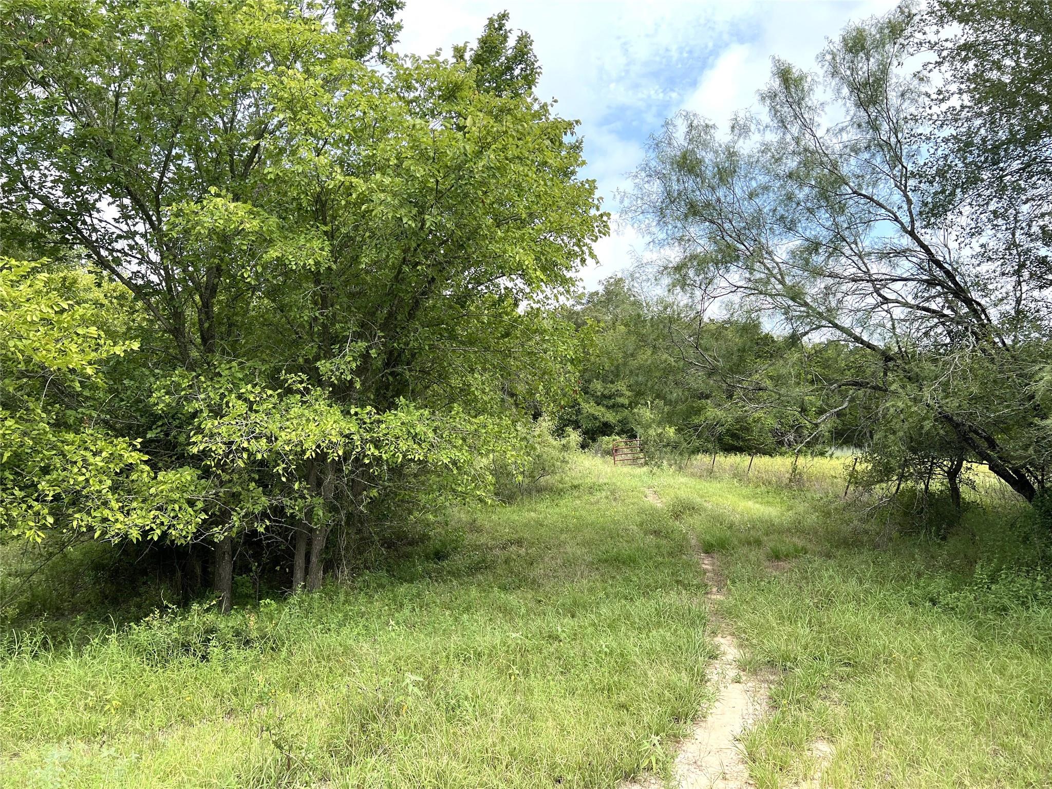 298 Jenkins. Rd, Cedar Creek, TX 78612