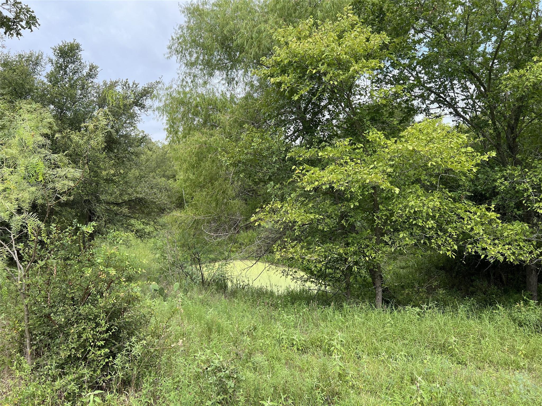 298 Jenkins. Rd, Cedar Creek, TX 78612