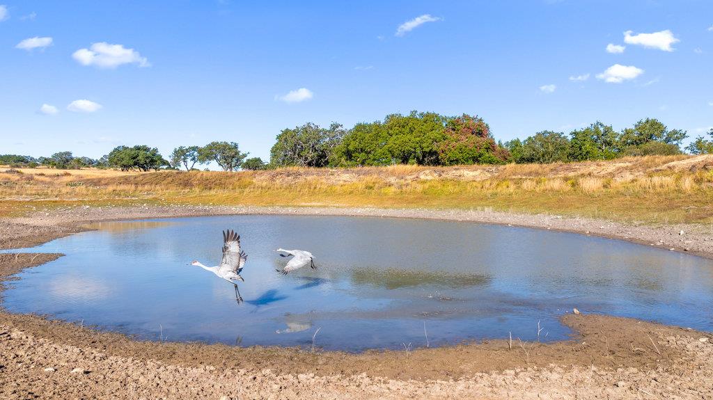 2482 Ranch Road 2721, Blanco, TX 78636