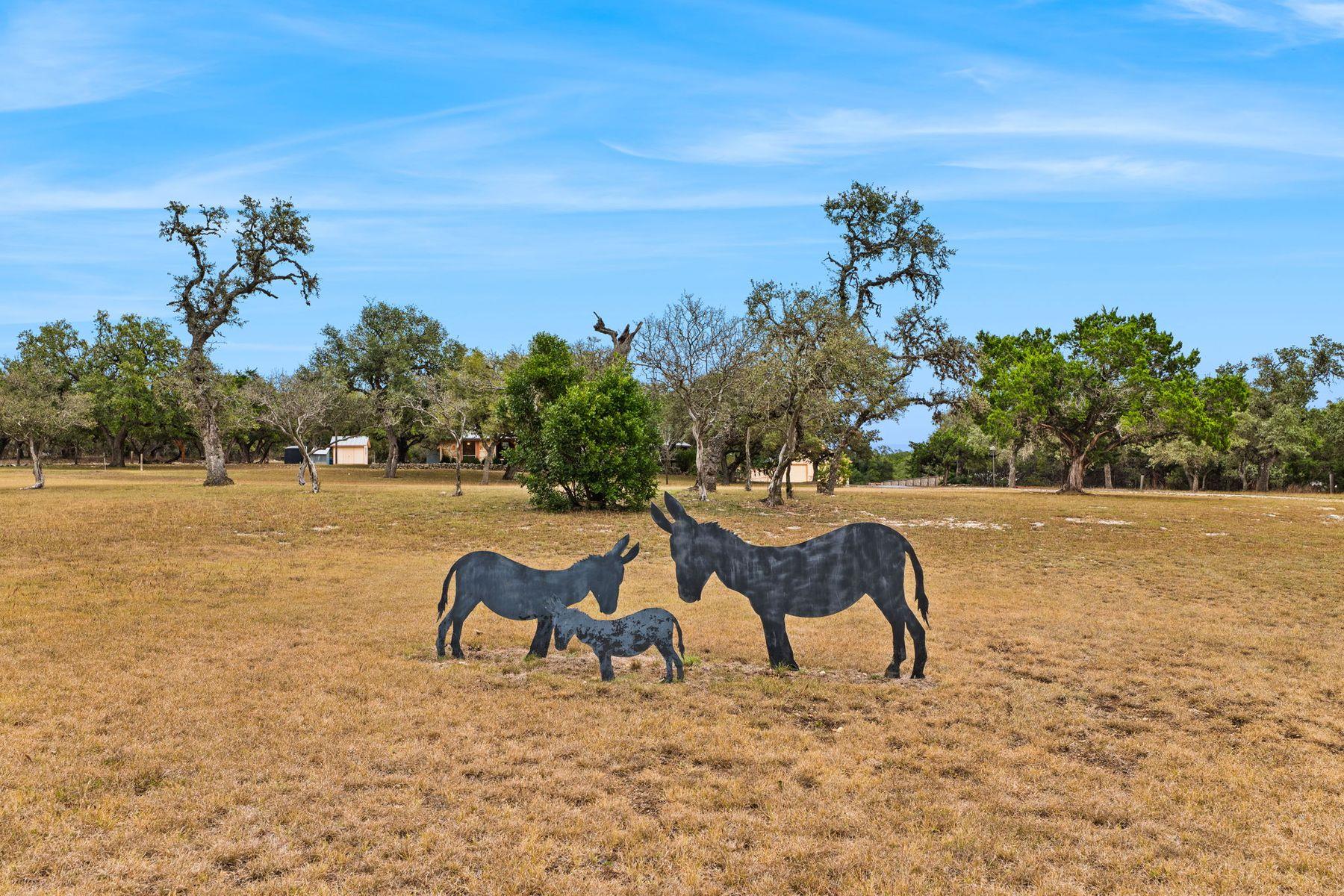 115 Sage Oaks Trail Trl, Boerne, TX 78006