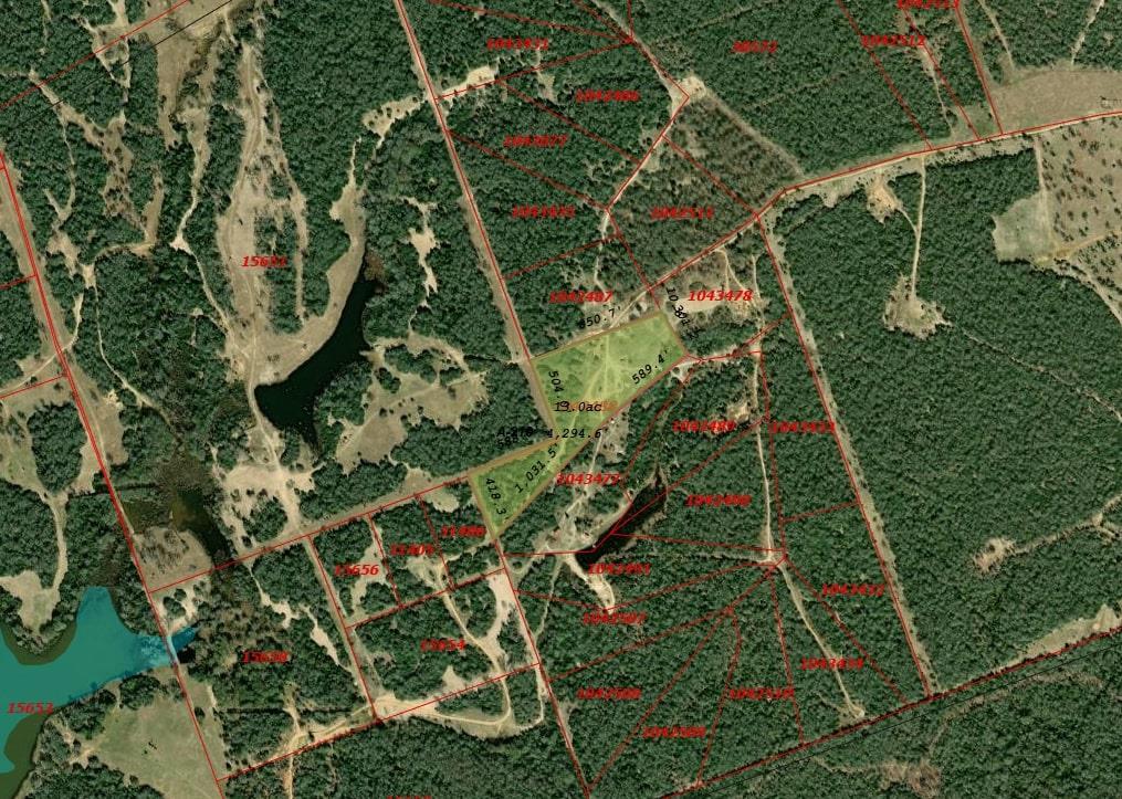 Tract 14 The Ranches at Woodland Trail, Caldwell, TX 77836