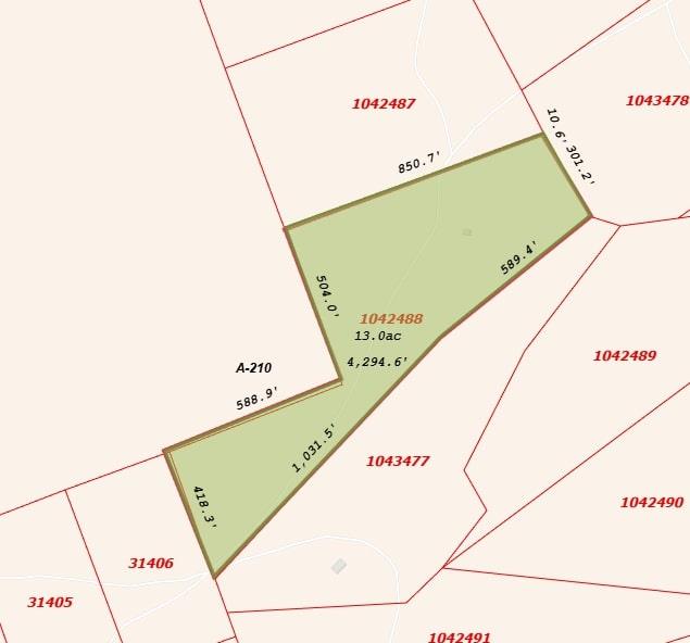 Tract 14 The Ranches at Woodland Trail, Caldwell, TX 77836