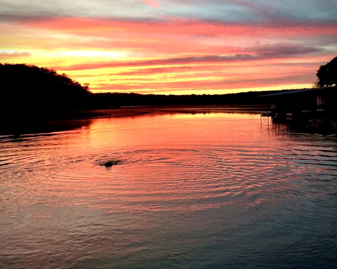 26809 Blue Cove Road Blue Cove Rd, Marble Falls, TX 78654