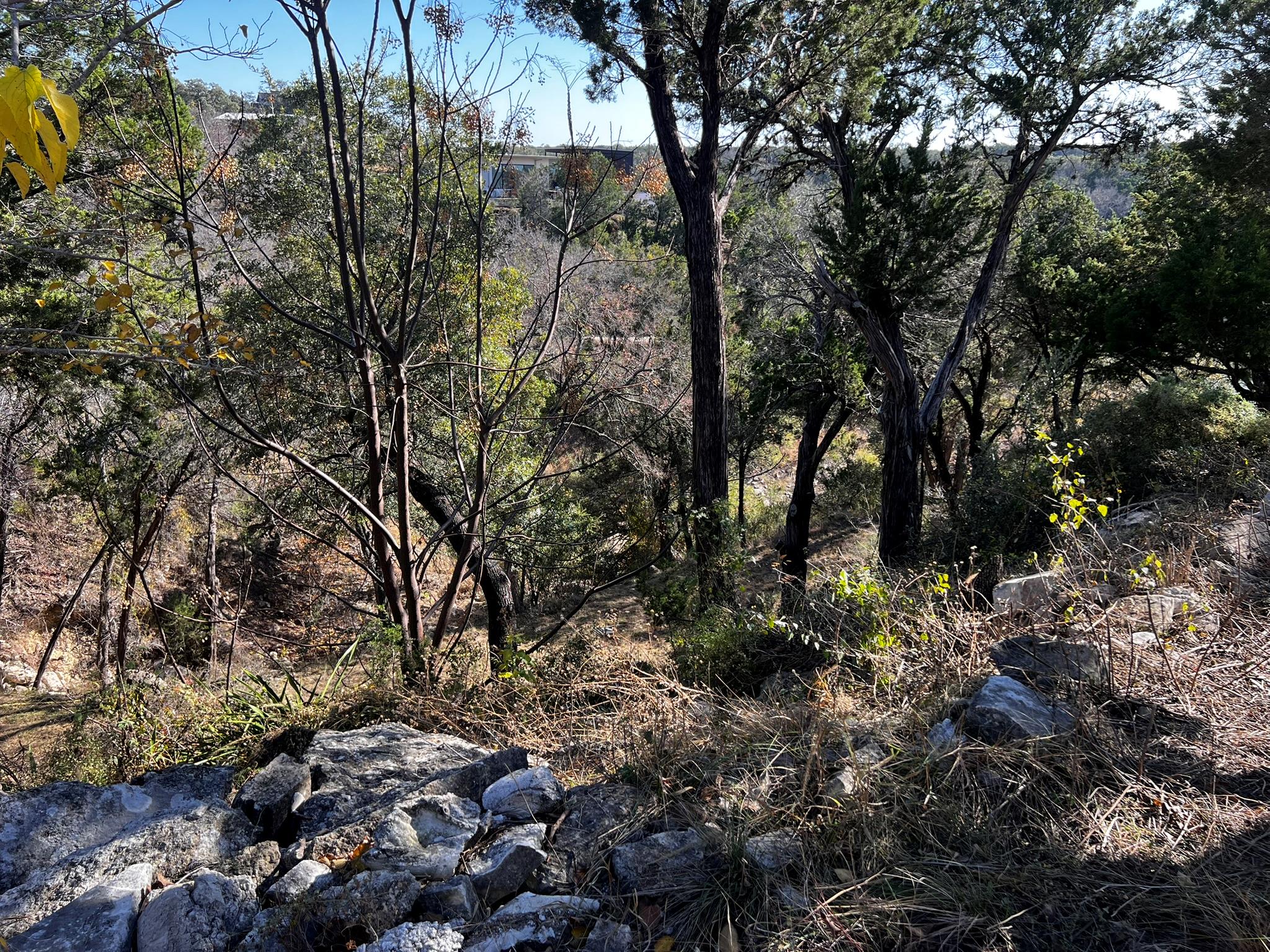 26809 Blue Cove Road Blue Cove Rd, Marble Falls, TX 78654