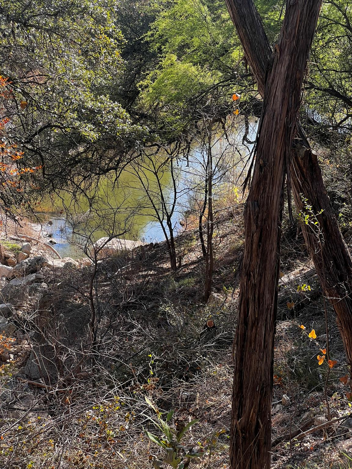 26809 Blue Cove Road Blue Cove Rd, Marble Falls, TX 78654